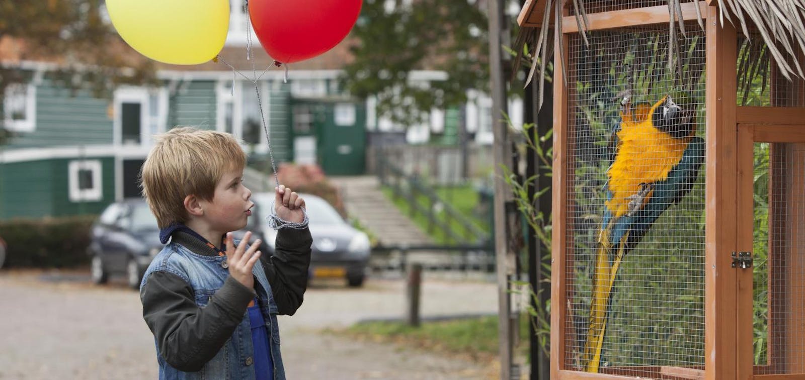 My Giraffe Classic Cinemas