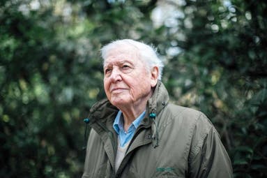 David Attenborough A Life On Our Planet Ritz Cinemas