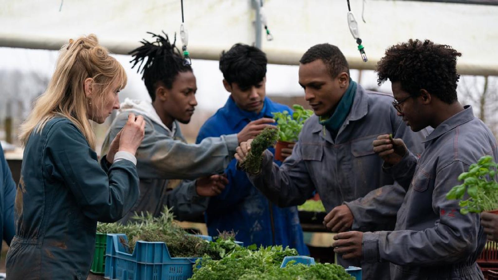 The Kitchen Brigade Classic Cinemas